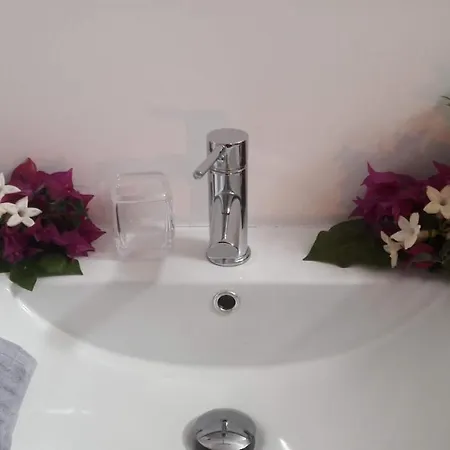 Plaza San Marcos Casco Historico * Icod De Los Vinos